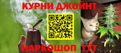 эйфоретик Славгород