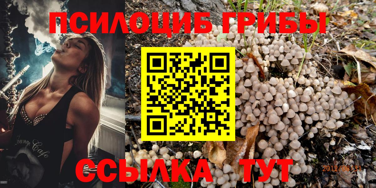 Псилоцибиновые грибы Magic Shrooms Новочебоксарск