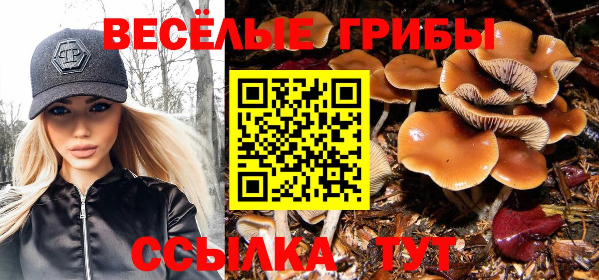 Галлюциногенные грибы MAGIC MUSHROOMS  Вход с VPN  Новочебоксарск 